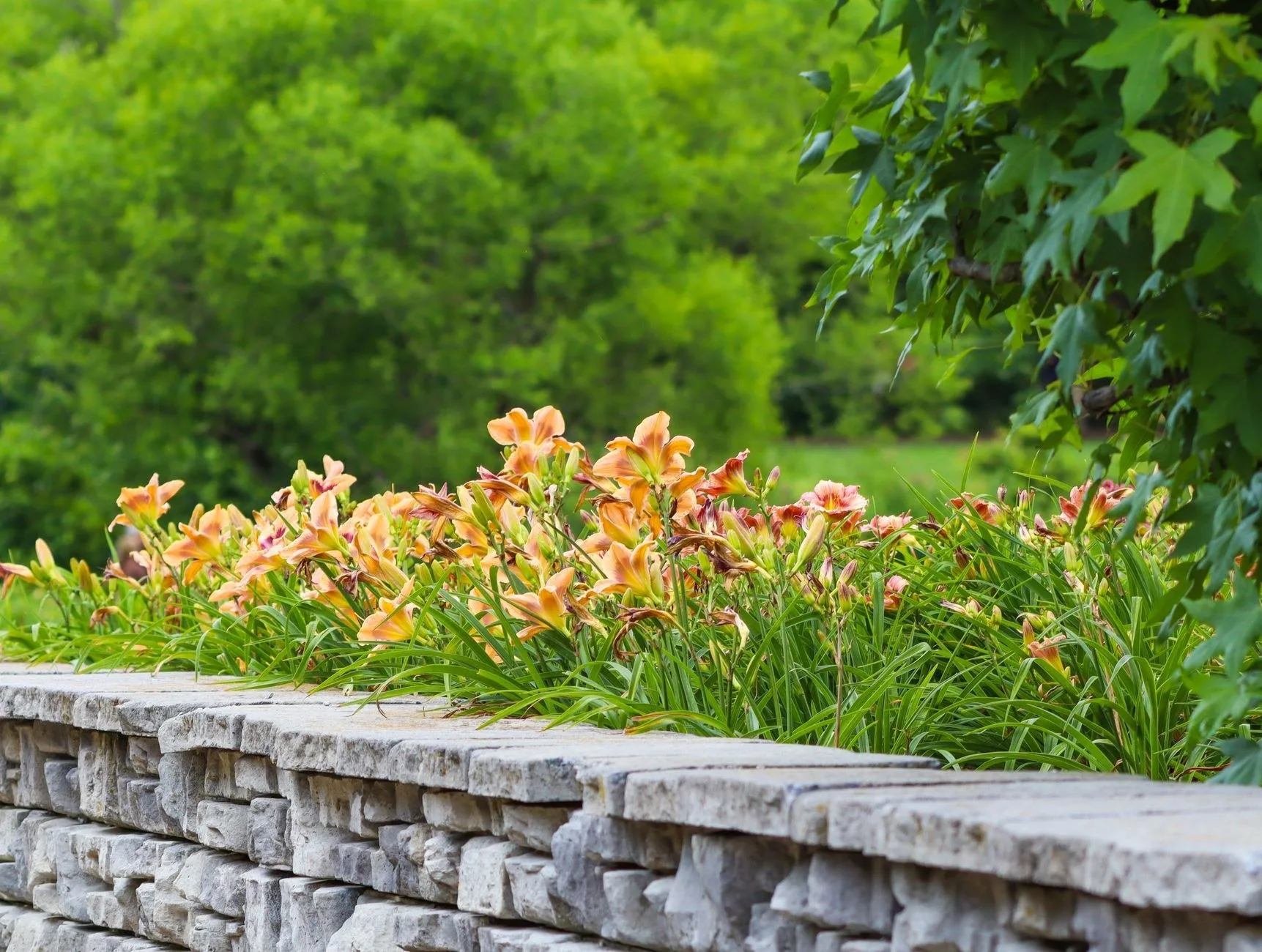 Stone Veneer Installation project in Highland Park, IL