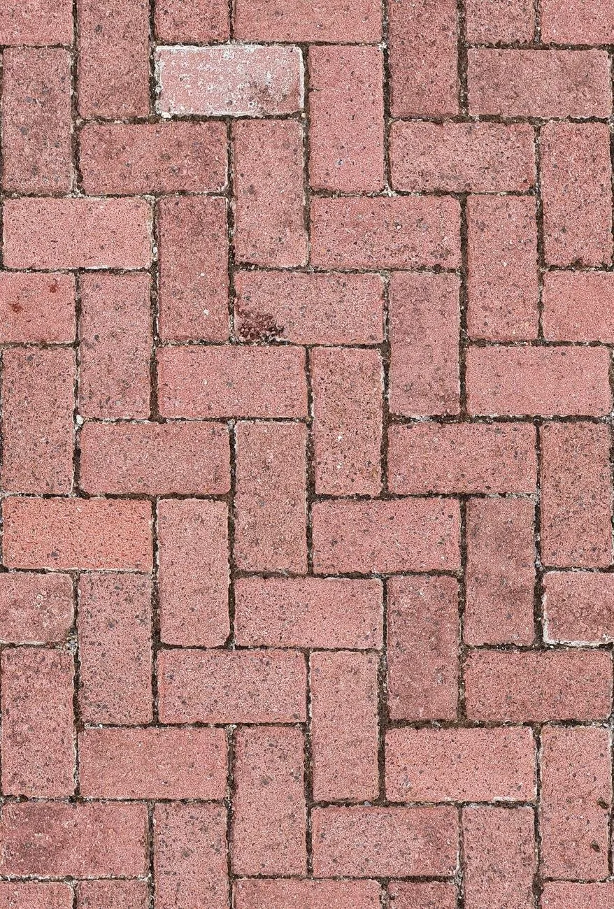 Repointing project in Palatine, IL